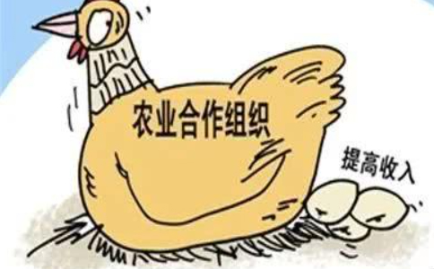 河南（鄭州）農(nóng)民專(zhuān)業(yè)合作社注銷(xiāo)工商執(zhí)照流程手續(xù)