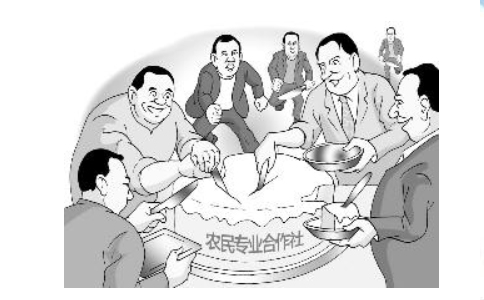 關(guān)于加快發(fā)展農(nóng)業(yè)社會化服務(wù)的指導(dǎo)意見